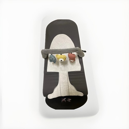 Baby bjorn bouncer bundle - bjorn,