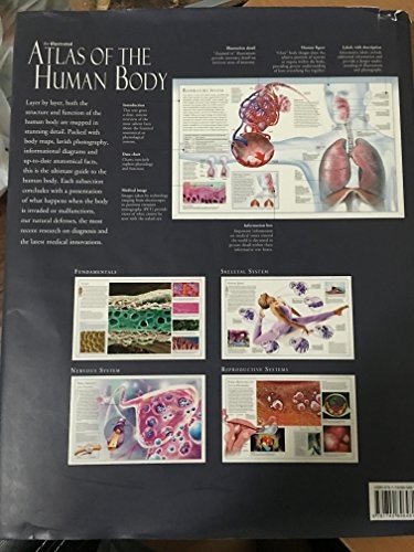 The illustrated atlas - the,