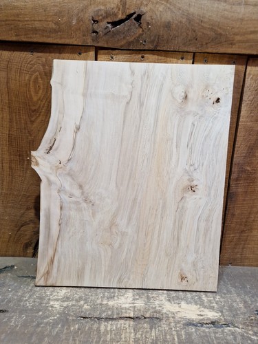 Live edge hornbeam slab - hornbeam, (058)