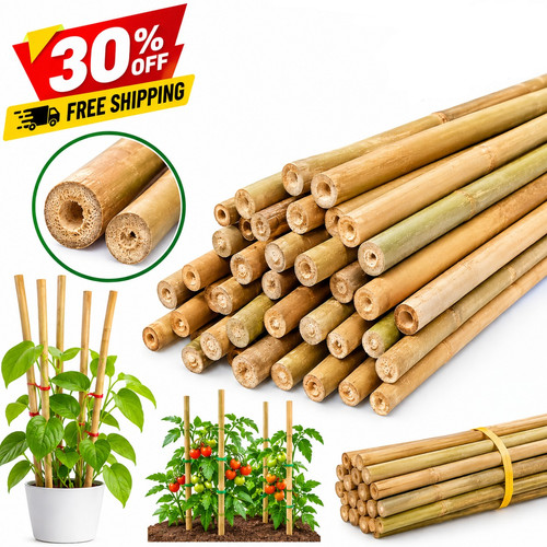 5ft 6ft bamboo garden canes - 5ft,