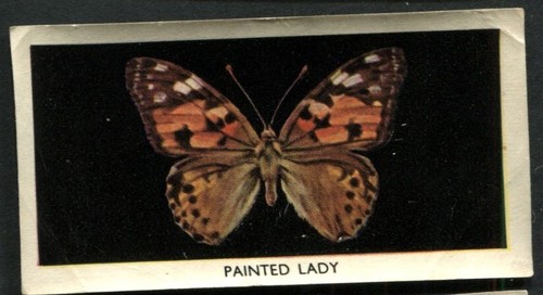 Tobacco card godfrey - tobacco, card,