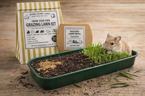 Grow your own pet - own, kit