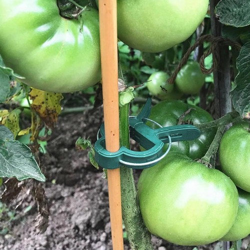 Reusable vine plant clips ties - vine,