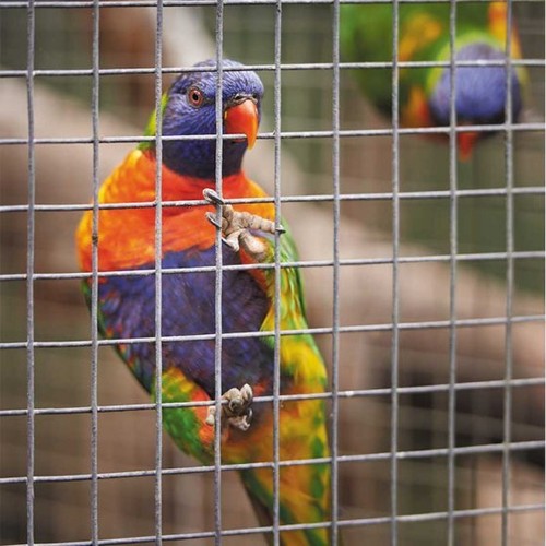 Cage aviary mesh panel - 0.6, x