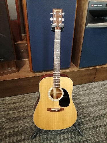 Martin acoustic guitar 01 - d-18,