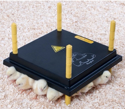 Chick brooder comfort - brooder, 25