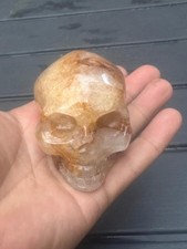 Golden Healer Skull