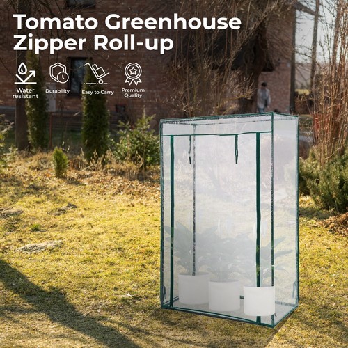 Mini greenhouse plant pot - plant,