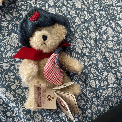 Lovely boyd bear in outfit - lovely,