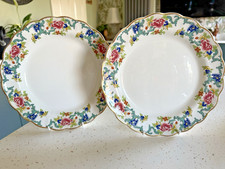 BOOTHS CHINA MADE IN ENGLAND FLORADORA PATTERN  2 DINNER  PLATES (C)