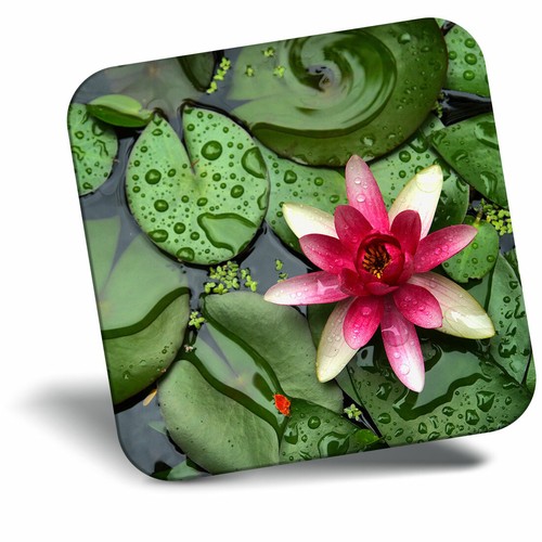 Awesome fridge magnet pink - magnet,