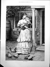 Antique Print First Favourite Lady Hing Pigeon Basket Food Others Feet 1893