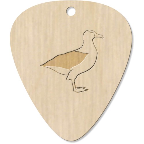 Seagull wooden guitar - 7,