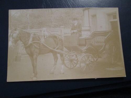 Postcard horse - of, &