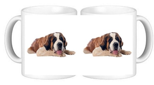 Bernard dog pet family - bernard,