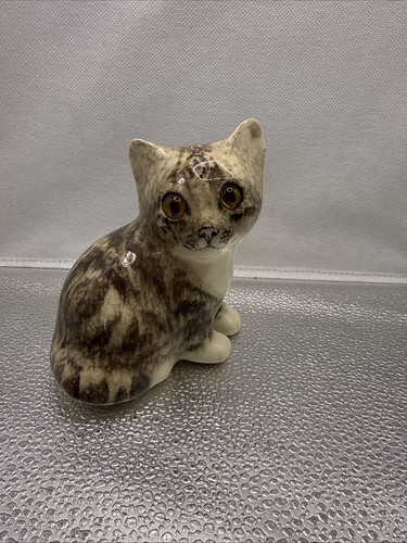 Winstanley tabby cat size - tabby,