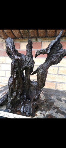 Large bogwood for fish - large, tanks
