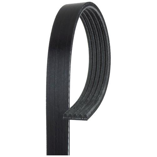 Rib multi drive belt - 5, for