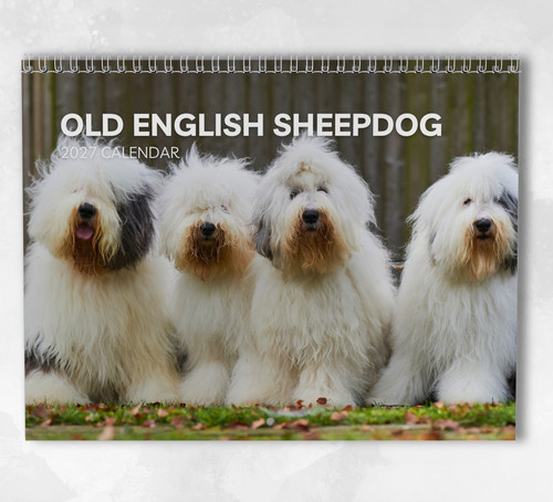 Old english sheepdog - old, calendar