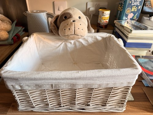 Dog teddie style - dog, storage