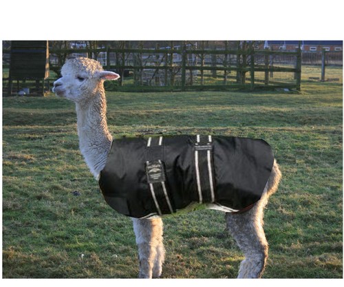 Waterproof coat for alpaca - for,
