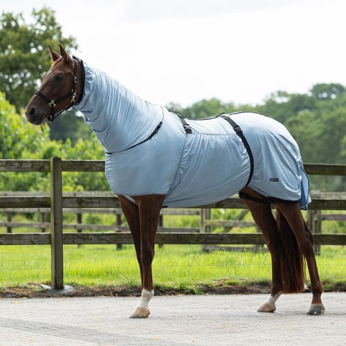 Horse sweet itch - horse, summer