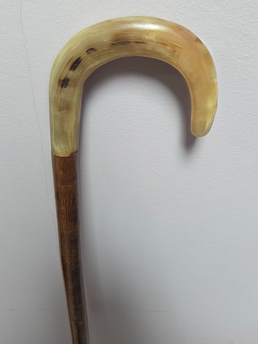 Shepherds crook rams horn - shepherds,