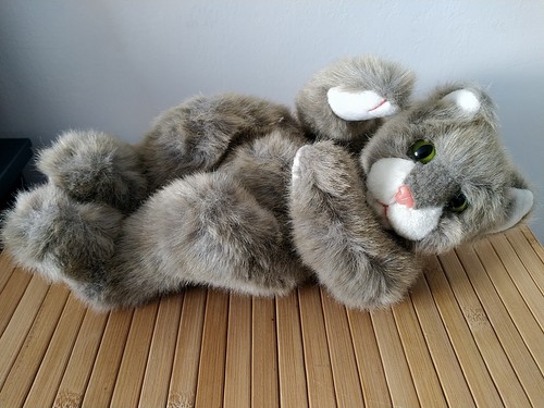 Tumbles lazy laying - ty, “tumbles”