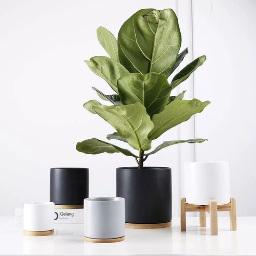Set 4 5 - -, planters