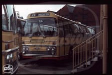 Original Coach Slide -