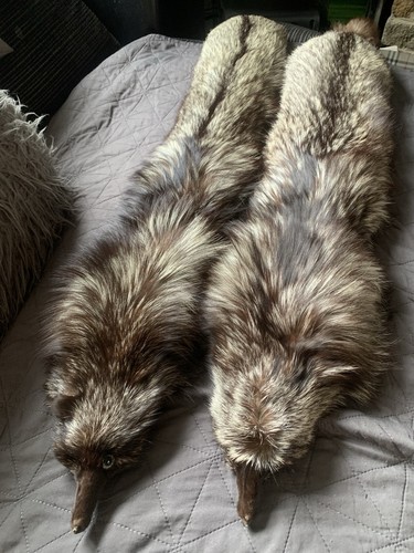 Silver fox fur stole - silver,