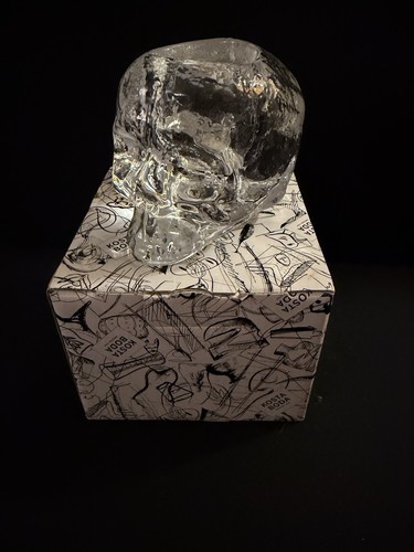 Kosta boda skull - kosta,