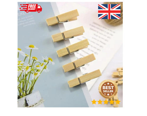 Wooden clothes pegs - clothes, clips