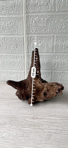 Bogwood driftwood fish tank - bogwood,