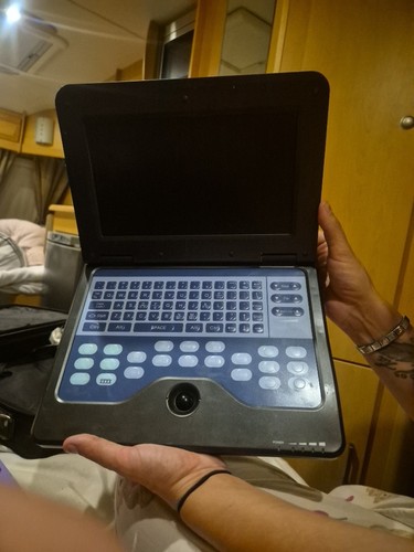 Vet veterinary use digital - ce,