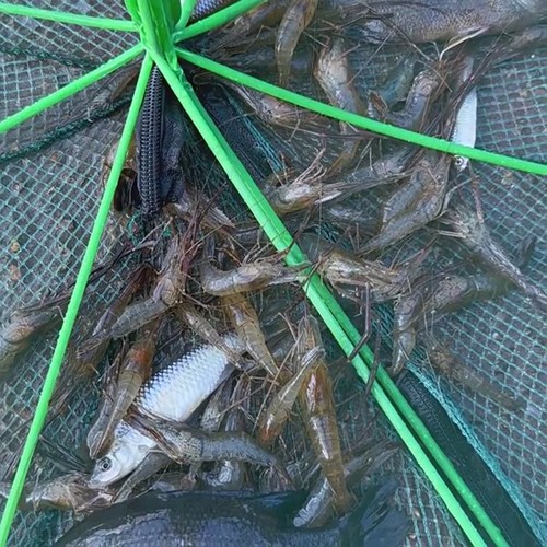 Fishing net collapsible folded - net,