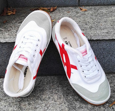 Shaolin Martial Arts Tai Chi