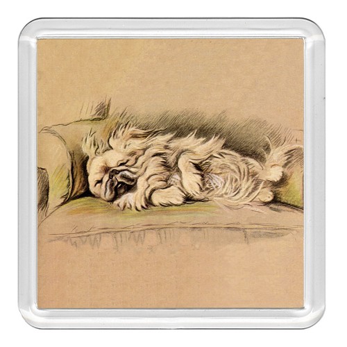 Pekingese dog acrylic - dog, coaster