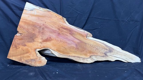 Hardwood yew slab board - hardwood, yew,