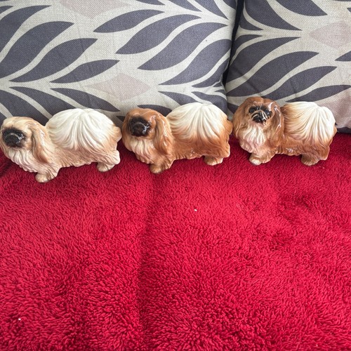 Vintage pekingese dog - x3,