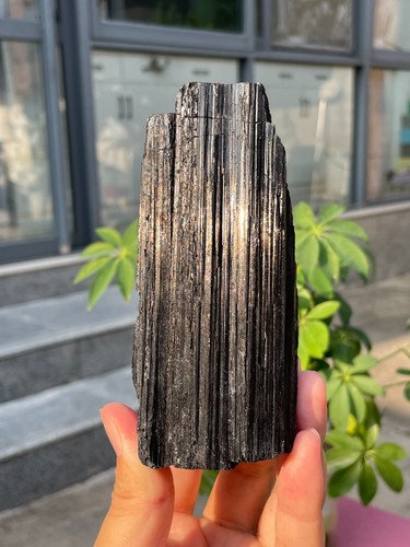 586g rough natural - 586g,