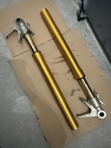 Ducati 1098s ohlins front - 1098s,