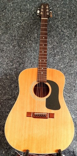 Vintage washburn d12n - washburn,