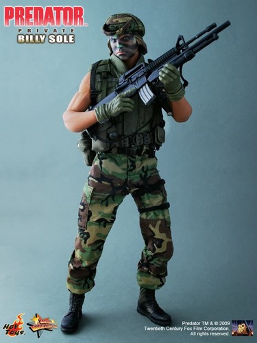 Hot toys mms73 predator - hot,