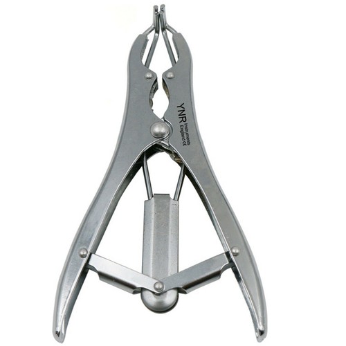 Ynr elastrator castration - ynr,