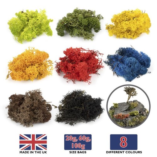 Lichen moss model foliage - model,