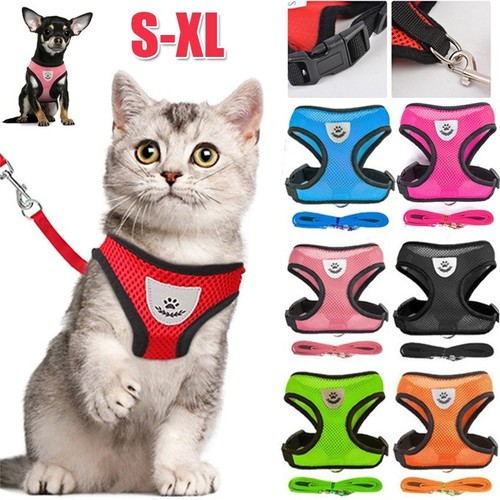 Adjustable cat harness and - adjustable,