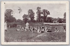 The Old Berkeley Foxhounds