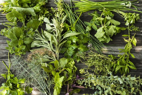 Herbs - (calamus-comfrey, leaf)