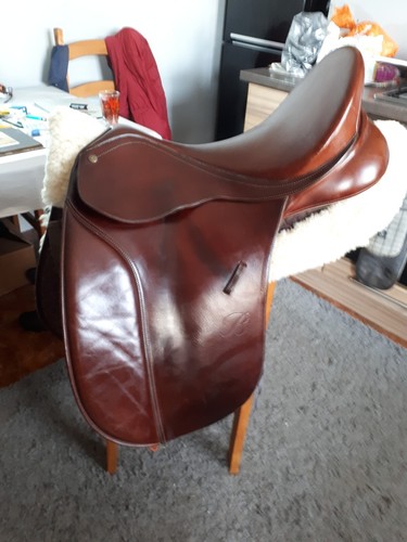 Ins bates caprilli dressage - bates,